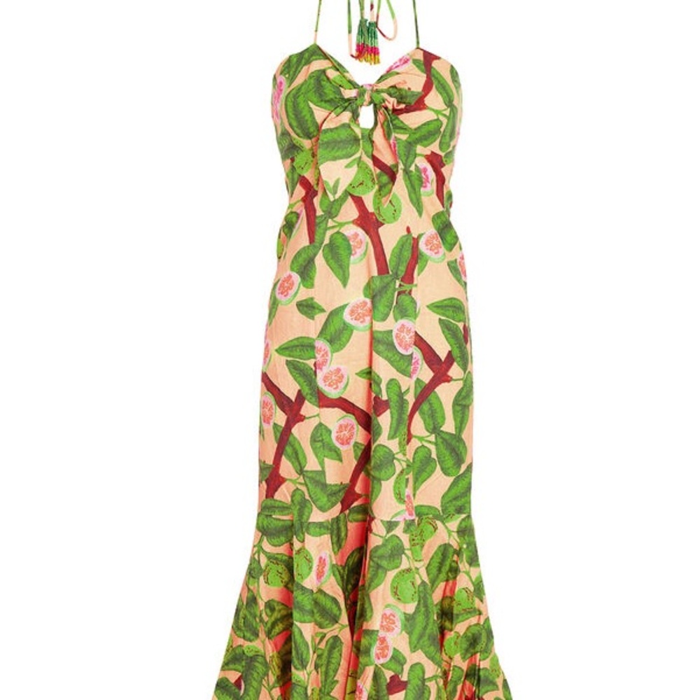Farm Rio Guava Midi Dress NWT - XL